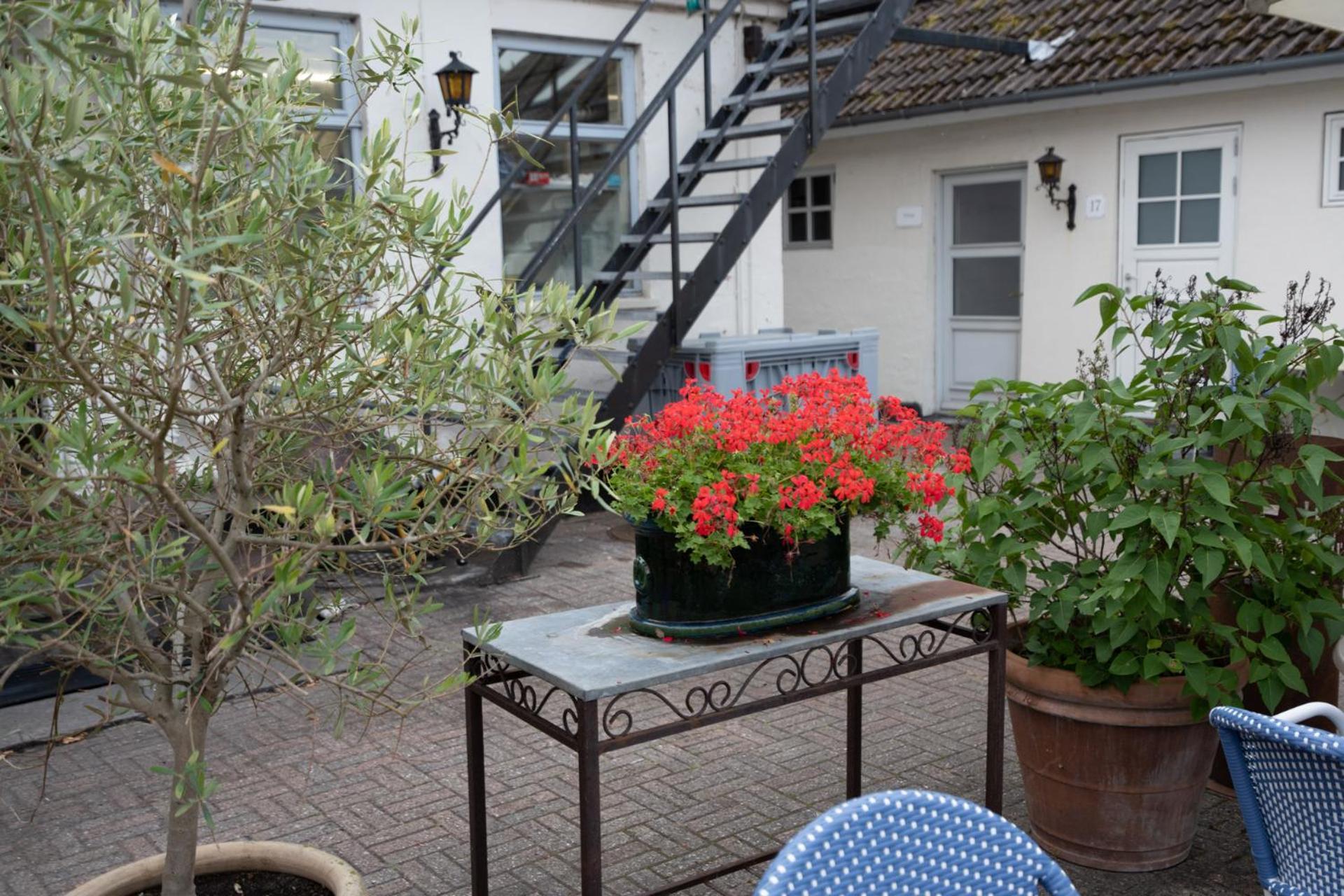 Rodvig Kro Og Badehotel Екстер'єр фото
